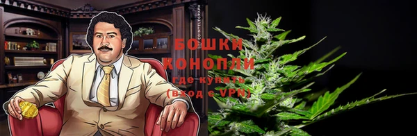 прущие грибы Бугульма