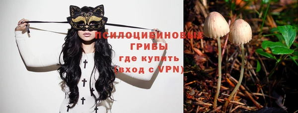 прущие грибы Бугульма