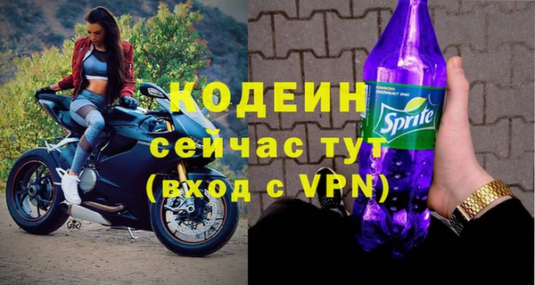 PSILOCYBIN Бородино