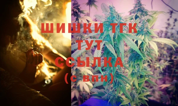 PSILOCYBIN Бородино