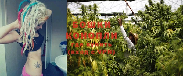 PSILOCYBIN Бородино