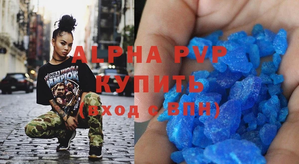 PSILOCYBIN Бородино