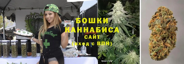 прущие грибы Бугульма