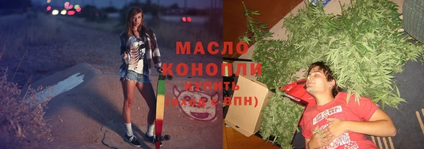 PSILOCYBIN Бородино
