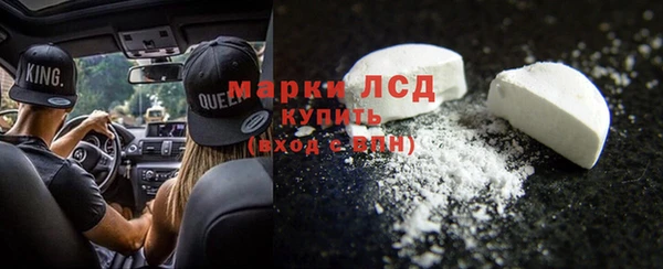 PSILOCYBIN Бородино