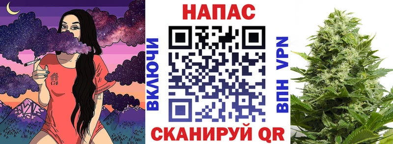 Каннабис индика Киржач